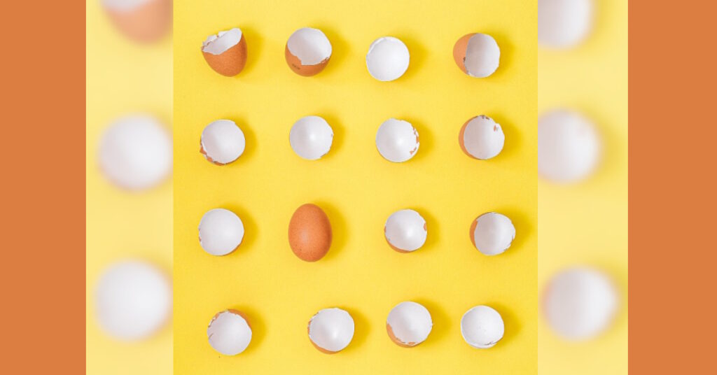 Close up of four rows of half egg shells and whole egg among three half-shells on third row on yellow countertop